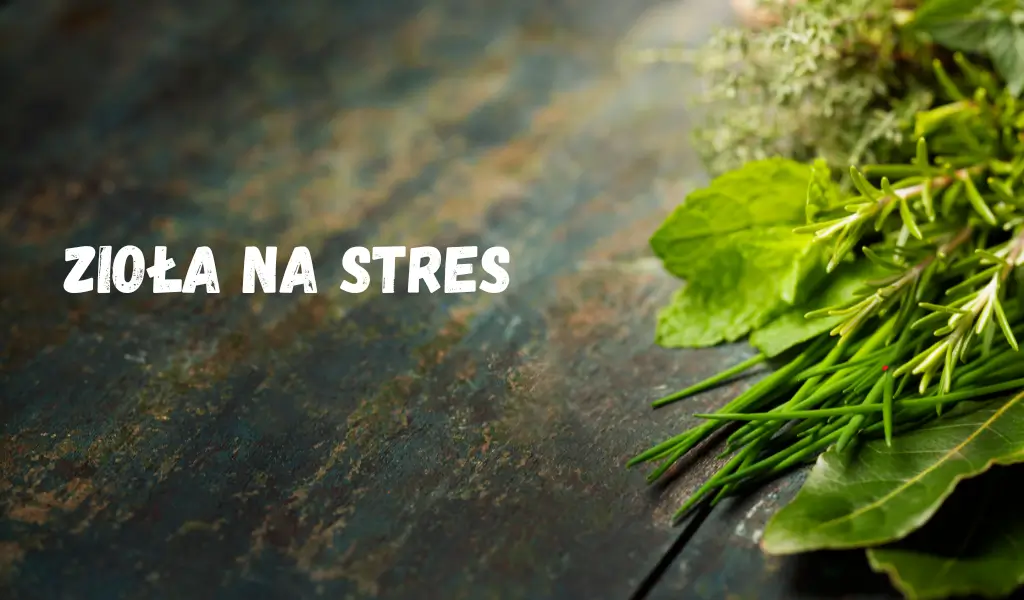 Naturalne zioła na stres – suszone liście i mieszanki adaptogenne wspomagające relaks i równowagę emocjonalną