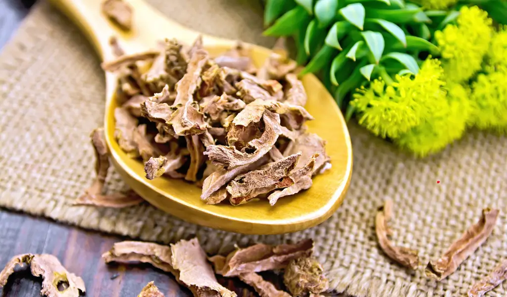 Liść różeńca górskiego – naturalne zioła na stres i zmęczenie psychiczne