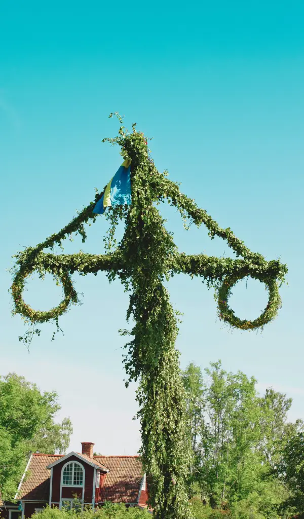 Przystrojone drzewko majowe podczas obchodów Midsummer w Szwecji
