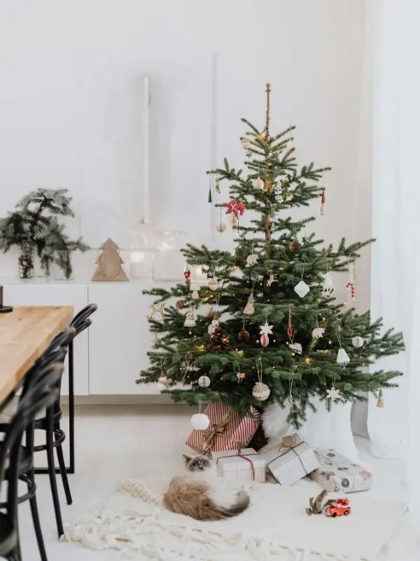 Ustrojona żywa choinka w salonie, ozdobiona światełkami i bombkami, stojąca w ciepłym, świątecznym wnętrzu.
