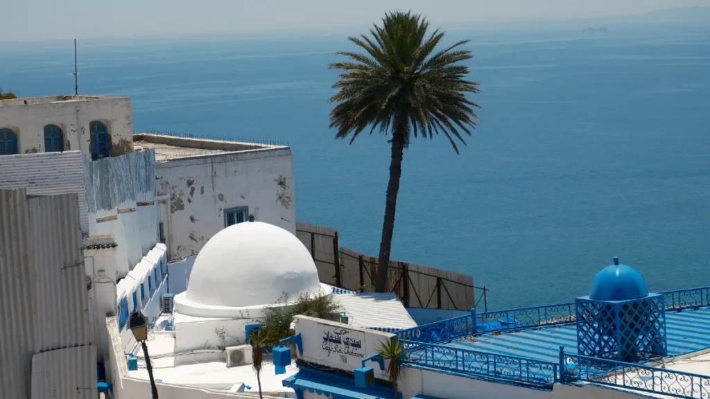 Palma na tle Morza Śródziemnego w Sidi Bou Said