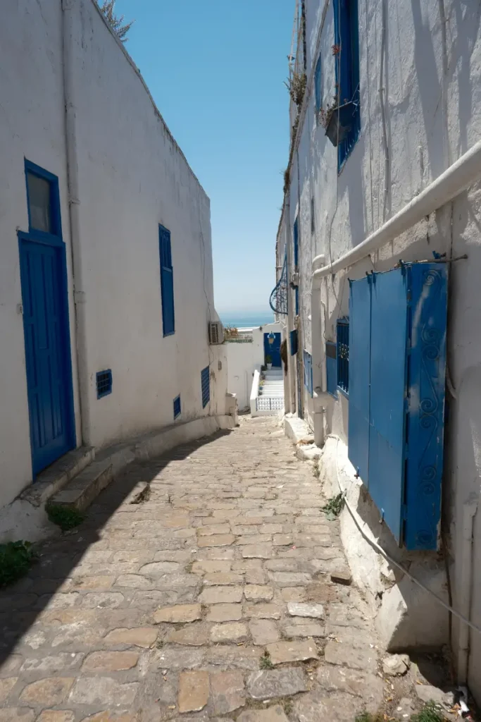 Wąska uliczka z widokiem na Morze Śródziemne w Sidi Bou Said